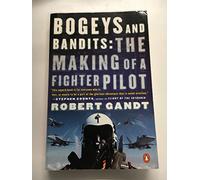 Bogeys And Bandits: The Making of a Fighter Pilot