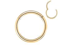 BOGKU 1pc Grade 23 Titanium Nose Rings Hoops Body Piercing Rings Helix Cartilage Rook Earrings 20G 18G 16G, Diameter 6mm-10mm Black/Silver/Gold/Rose Gold, 20 Gauge, 7mm, Titanium, no gemstone