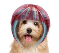 Bohany Pet Wig, Colorful Pet Wig for Cats, Long-Wear Animals Headwear Non-Slip for Character Cosplay Halloween Family Gathering Festive Show Stage Performance