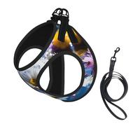 Bohemian Colored Flower Print Pet Leash Vest Soft Adjustable Step in Puppy Vest Outdoor Walking with Leash