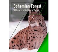 Bohemian Forest - Wilderness in the Heart of Europe