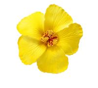 Bohemian Style Duckbill Clip Flower Hair Claw, Simple Summer Cloth Hairpin, Vacation Style Female Hair Accessories