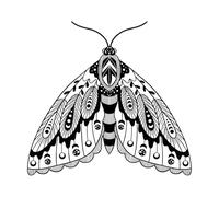 Bohemian Style Moth Butterfly Mysterious Universe Insect Wings Wall Decals Paster Paper 67.2x71.4cm Glass Stickers Black