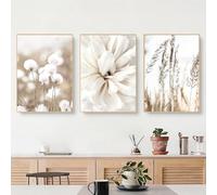 Boho Poster Set of 3 Art Prints Set 50 x 70 cm White Flowers Plants Beige Abstract Dead Grass Bedroom Pictures Canvas without Frame (30 x 40 cm)