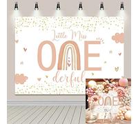 Boho Rainbow 1st Birthday Party Backdrop Pink Girl Little Miss Onederful Photography Background Gold Dots Pastel Baby Shower Decor Cake Table Banner Supplies 7X5FT