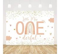 Boho Rainbow 1st Birthday Party Backdrop Pink Girl Little Miss Onederful Photography Background Gold Dots Pastel Baby Shower Decor Cake Table Banner Supplies 8X6FT