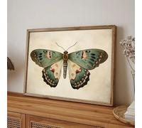 Boho Sage Green Vintage Butterfly Poster Canvas Print Moody Moth Wall Decor Floral Butterfly Picture For Living Room Decor(20x30cm/Frameless)