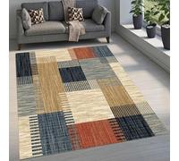 Boho Style Area RugModern Minimalist MidCentury Printed Carpet for Living Room Home DecorSoft 60x90cm Floor Mat