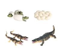 Bohue 4Pcs Crocodile Life Cycle Toys Creative Artificial Animal Toy Simulation Realistic Crocodile Toy Plastic Crocodile Figurines for Teaching Tools School Project