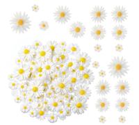 BOHUIZ 100 Pcs Mini Daisy Decorations, Resin Daisy Flowers Crafts Small Decorative Daisies Charms 5 Sizes Flatback Daisy Flower Epoxy Beads Charms for DIY Crafts, Party, Home Decoration