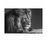 BOHUO Animal Cute Bathroom Wall Art Cool Artwork Modern Nature Picture Seascape for Office Living Room Bathroom(Black 5)-30x45cm Unframed