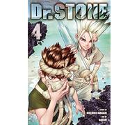 Dr. STONE, Vol. 4: (Dr. STONE 4)