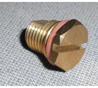 Boiler Nut + Rubber Ring Assembly 01091 compatible with Morphy Richards Irons