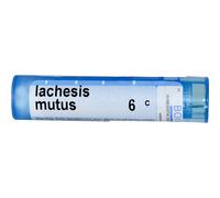 Boiron, Single Remedies, Lachesis Mutus, 6C, 80 Pellets
