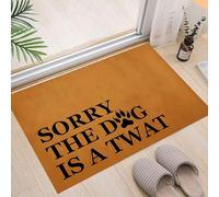 boiszeda Welcome Door Mat Indoor Cats Black Cat Front Door Carpet Non-Slip Indoor Dogs Funny Patterned Dirt Trapper Rug Welcome Rug
