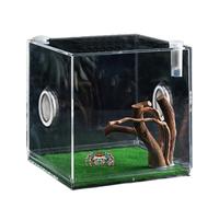 Boîtier d'araignée à sauter, récipient de reptile en verre transparent, Terrarium acrylique pour la croissance des araignées sautant, Petit conteneur animaux company polyvalent coléoptè