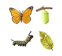 Bojueshaw 4PCS Preschool Butterfly Life Cycle Figurines - Realistic Animal Growth Model Set for Early Learning, Educational Tools for Kids Classroom Science Display