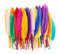 Bojueshaw 50PCS Colorful Feather DIY Craft Decorations - Natural Goose Feathers for Art Projects, Home Decor, and DIY Crafting