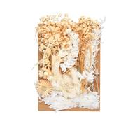 Bojueshaw DIY Eternal Dried Flower Kit - Natural Pressed Flower Pack for Creating Handmade Album, Vase, Cake & Envelope Decor