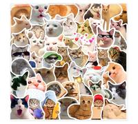 Bojueshaw Kawaii Cat Meme Stickers - 50pcs Waterproof Vinyl Stickers for Water Bottle and Scrapbook