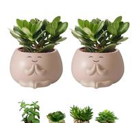 BOJVESH 2Pcs Cute Planter Pots with Drainage Hole, Small Resin Succulent Flower Pots Indoor Outdoor, Decorative Healing Cactus Pots, Desk Plant Stand Gift for Home Garden Office
