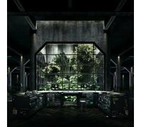 BOK BOK - YOUR CHARIZMATIC SELF