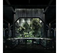 Bok Bok Your Charizmatic Self Double 12 Inch Vinyl NS016-12 NEW