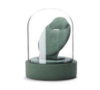 Bokcztml Glass Covered Jewelry Props Multipurpose Women Accessories Storage Stand Rings Necklaces Earrings Organizers Holder