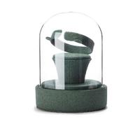 Bokcztml Glass Covered Jewelry Props Multipurpose Women Accessories Storage Stand Rings Necklaces Earrings Organizers Holder