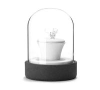 Bokcztml Glass Covered Jewelry Props Multipurpose Women Accessories Storage Stand Rings Necklaces Earrings Organizers Holder