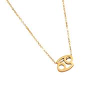 Bokcztml Stylish Steel Constellations Necklace Letter Symbol Twelve Astrological Sign Clavicle Chain Chokers Constellations Pendant