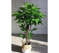 BOKNI Fake PLants, Green Artificial Potted Fortune Tree Tall 1.4/1.7m, 1Pack Live Like Greenery for Indoor Home Office Housewarming Garden Decor (Color : B, Size : 1.4m/55in High)