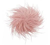 BokWin Large Feather Brooch Pin for Women Statement Floral Lapel Pin 6.69 Inch Oversize Corsage Pin for Suit Dress Shawl Wedding Banquet Party Accessory, 6.69 Inch, Feather, 1