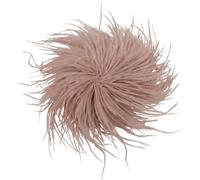 BokWin Large Feather Brooch Pin for Women Statement Floral Lapel Pin 6.69 Inch Oversize Corsage Pin for Suit Dress Shawl Wedding Banquet Party Accessory, 6.69 Inch, Feather, 1
