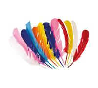 Boland 22320 44135 Native American Feathers Assorted Colours, Unisex (US IMPORT)