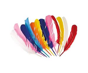 Boland 44135 Indian Feathers Assorted Colours Unisex Adult Colourful 30 cm