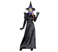 Boland 79240 Adult Raven Witch Costume, Multi-Coloured, M-L