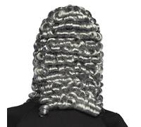 Adult Judge Wig Grey Barrister Lawyer Court Fancy Dress Costume Accessory