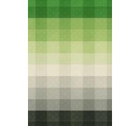 Bold Aromantic Pride Notebook - LGBTQ+ Grid Journal with 2026 Calendar | Green Grey Black Ace-Aro Flag Design