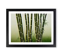 Bold Bamboo Forest H1022 Framed Print for Living Room Bedroom Home Office Décor, Wall Art Picture Ready to Hang, Black A3 Frame (46 x 34 cm)