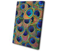 Bold Bloc Design - Animals Peacock Feathers - 75x50cm Canvas Art Print Box Framed Picture Wall Hanging - Hand Made In The UK - Framed And Ready To Hang