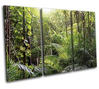 Bold Bloc Design Tropical Rainforest Jungle Landscapes 150x100cm Triptych Canvas Art Print 13-4204(00B)