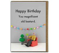 Bold & Bright - Funny Birthday Card - 'Magnificent Old Bastard' - Hilariously Funny Cards - Cheeky Cards For Him Her Friends - Sold by Brainbox Candy