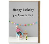 Bold & Bright - Funny Birthday Card - 'You Fantastic Bitch' - Hilariously Funny Cards - Cheeky Cards For Him Her Friends - Sold by Brainbox Candy