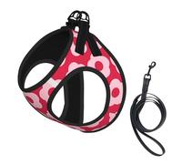 Bold Summer Red and Pink Floral Pattern Retro No Pull Dog Harness and Leash Set, Cute Reflective Adjustable Vest for Small Dogs,Breathable Mesh Puppy Harness for Walking Hiking,Small