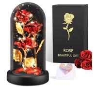 BOLEi Eternal Rose, Beauty and the Beast, Gift for Girlfriend, Eternal Glass Flower with LED Light, Unique Gifts for Women, Valentine's Day Gift for Girlfriend, Sister, Wife, Mom