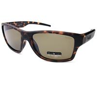 Bolle Status Polarized Sunglasses Matte Tortoise with Brown AR Lenses BS043003