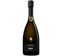 Bollinger PN AYC18 Champagne Magnum 150cl
