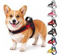 BoloShine Dog Harness Small Dog, Reflective Escape Proof Soft Mesh Padded Puppy Harness, No Pull Adjustable Harness with Handle, Breathable Comfortable Pet Vest for Outdoor (Black and Red, M)