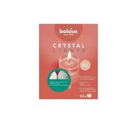 Bolsius Crystal Clear Cup Maxi Tea Lights 8 Hour Burntime - Orange